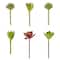 24 Pack: Assorted Succulent Pick by Ashland&#xAE;